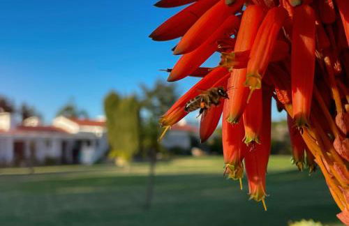 Herdade do Kuanza - Foto 50