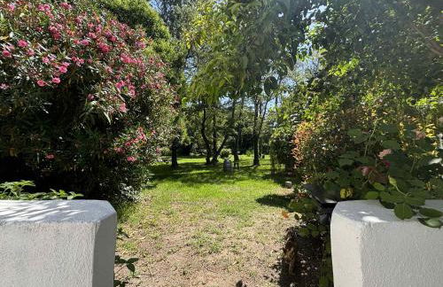 Gîtes Terra di a Bravona - Foto 56