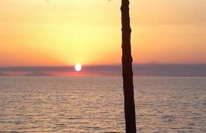 Villa Titi - Foto 45