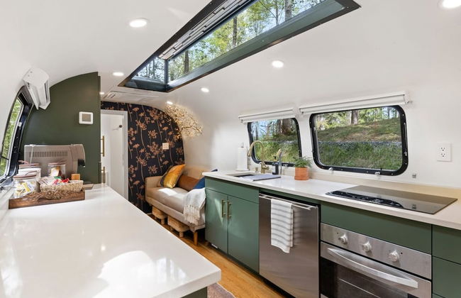 Royal Fern in Pisgah Forest - Foto 9