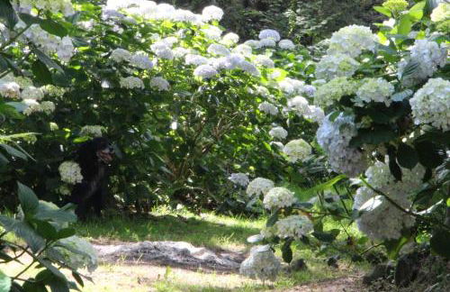 Apartamentos Mar y Mar Agroturismo - Foto 25