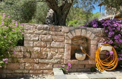 Oliveto e mare - Foto 39