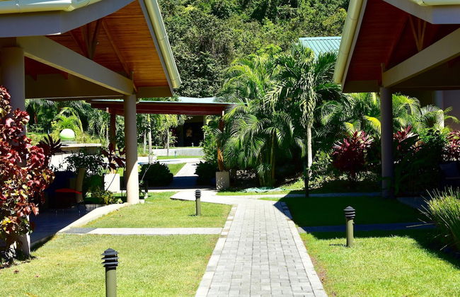 Hidden Palms Nosara - Photo 77