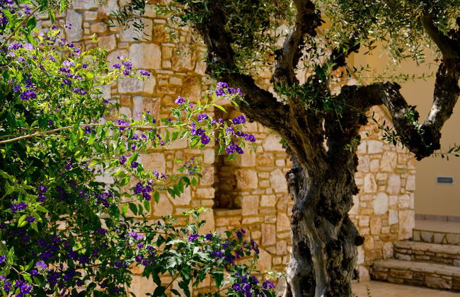 Colonides Beach Hotel - Foto 2