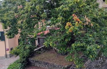 Il Pianello di Badia Prataglia - Foto 1