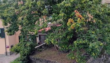 Il Pianello di Badia Prataglia - Foto 1