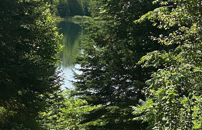 Le Ptit Canada Escape - Photo 23