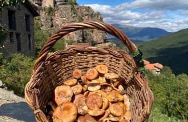 Cal Ferrer del Querforadat - Photo 46