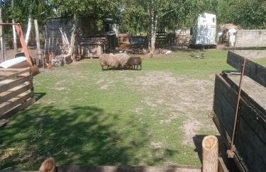 Gospodarstwo agroturystyczne - Foto 19