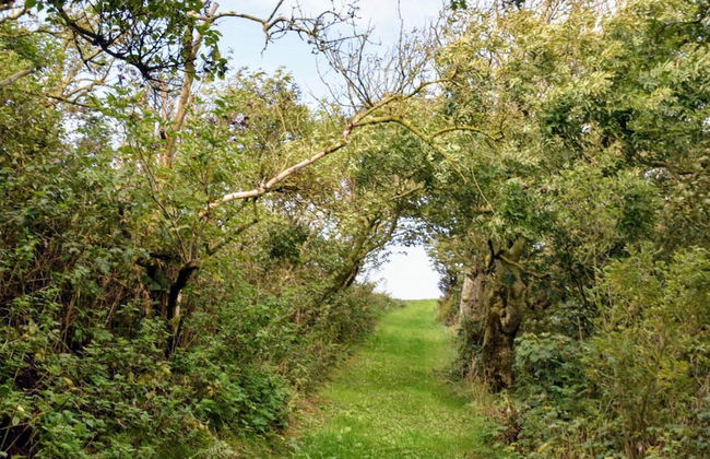 5 Person Holiday Home in Thyholm - Photo 17