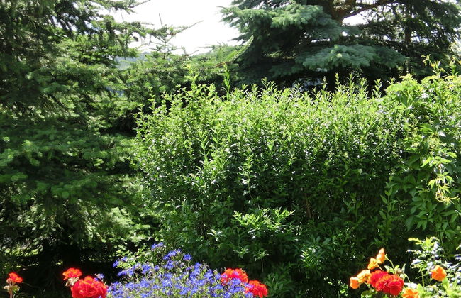 Holiday Home in Cattenstedt Harz With Garden - Foto 21