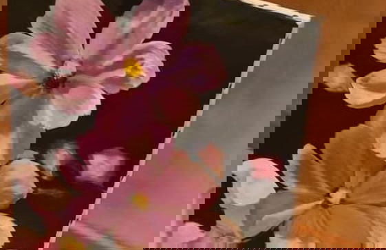 Gite Clos Angelique - Foto 28