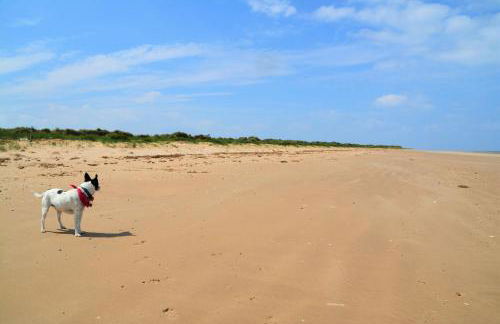 Out of Focus - Foto 40