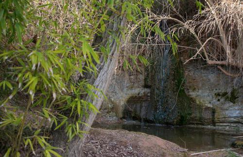 Masia Els Nocs - Foto 6