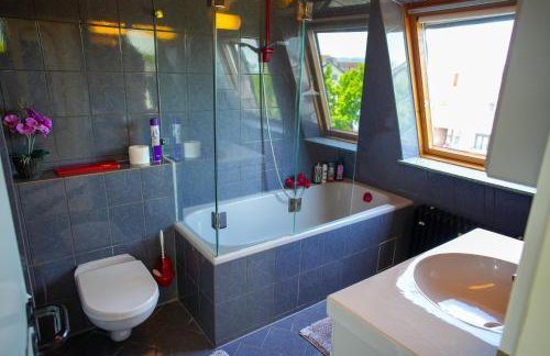 Schönes Studio in der Rheinebene, zentral gelegen - Foto 11