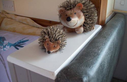 Waterloo Farm Shepherds Hut Glamping with Sun Lounge - Foto 8