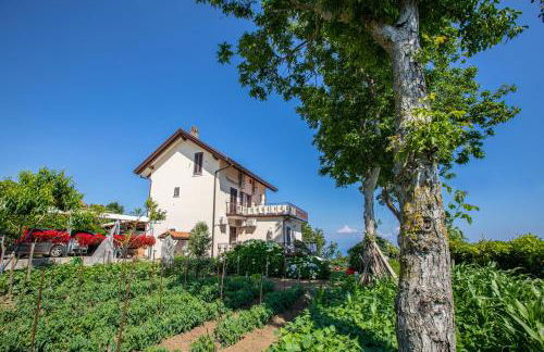 Nido Degli Dei - Foto 12