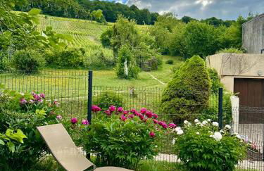 L'Écrin des Arts - appartement avec jardin au coeur de la Côte des Blancs - Foto 31