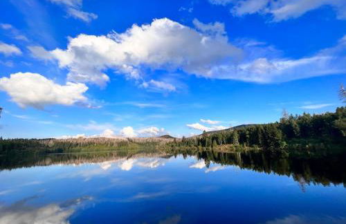 Am Wäldchen - Foto 33