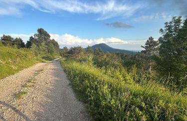 Mountain Lodge Istria - Stone Lodge II - Photo 34