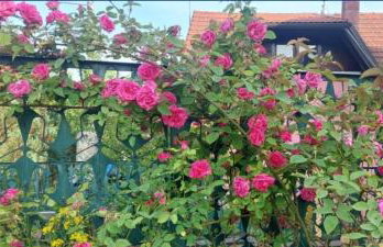 Kuća za odmor ,Erdelj 21 B - Foto 38