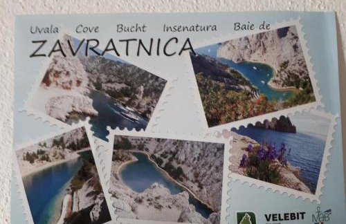 Apartments Tomas - Foto 66