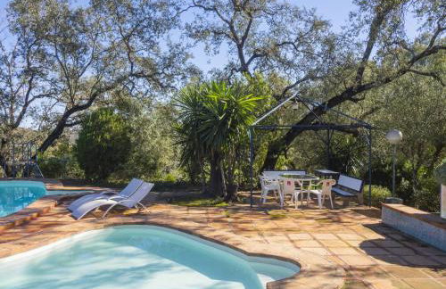 Cubo's Quinta de los Cisnes & minigolf included - Foto 77