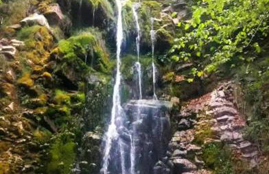 La Berrea Cabañaquinta - Foto 17