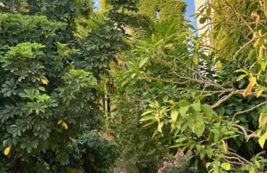 Biot - Place des Arcades - Foto 25