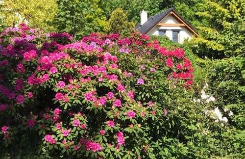 Domki PrzySowie - Góry Sowie - Foto 24