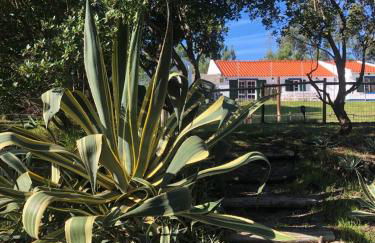 Villa Monte dos Pinheiros - Photo 6