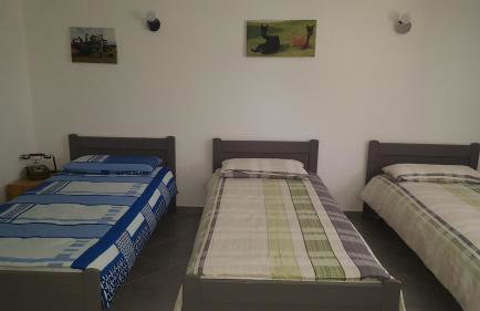 Alpaka-Ranczo AFF - Foto 71