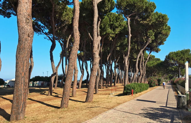 Le Querce (PIT550) - Foto 27