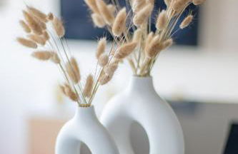 Paris au PETIT SÉSAME jacuzzi cosy Stade De France 6 personnes Wifi Terrasse Parking privé - Foto 33