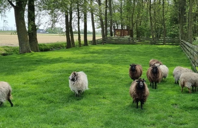 Country Life Comfortable Holiday Residence - Foto 12