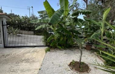 Casetta a Cavarretta - Foto 18