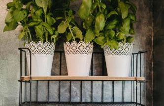 Sarnia Łąka Domek 1 z Prywatnym Jacuzzi - Foto 45