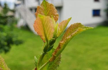 Pokoje przy Zamku - Foto 29