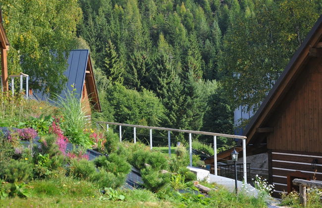 Zacler Kza280-ve in Prkennydul - Photo 36