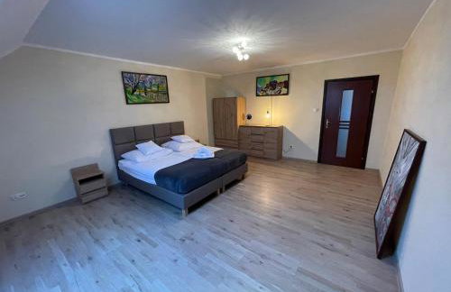 Stadnina Koni w Kłaczynie - Foto 19