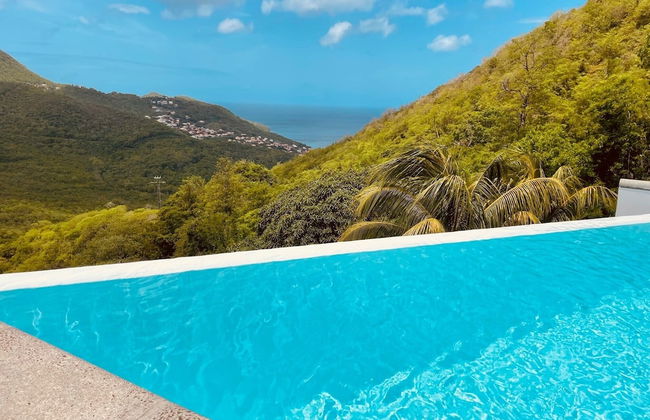 DOMAINE DE MAPOU - Photo 1