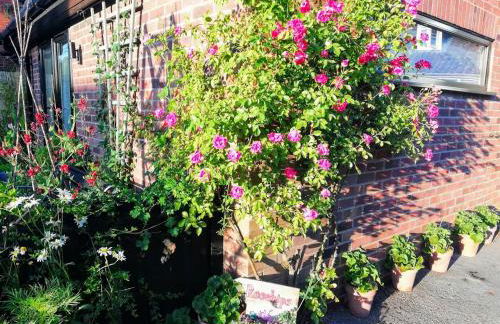 Rosehips at Kerensa, Naburn - Foto 13