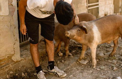 Agriturismo Le Radici - Foto 8