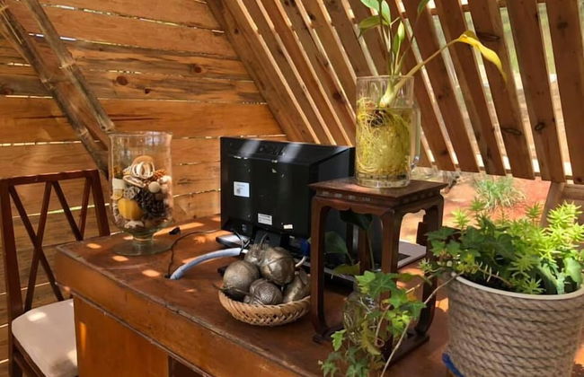 An Nhiên Villa - Photo 2