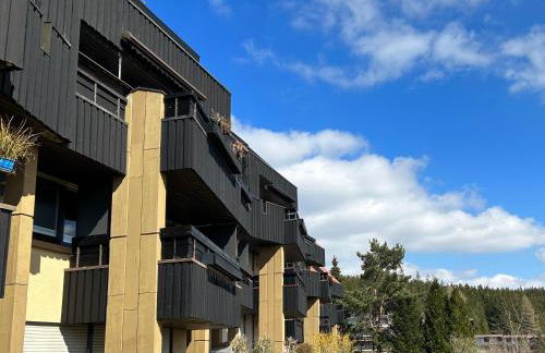 Apartment Fabelwald Black Forest - Foto 50