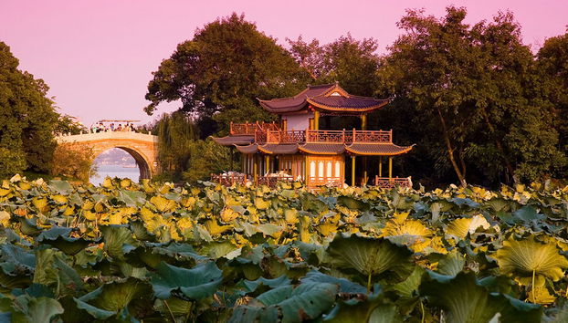 Escursione giornaliera privata alla scoperta dei luoghi più importanti di Hangzhou - Foto 4
