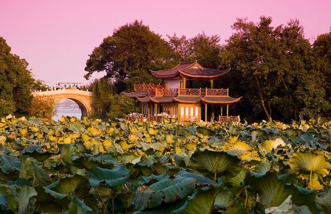 Escursione giornaliera privata alla scoperta dei luoghi più importanti di Hangzhou - Foto 4