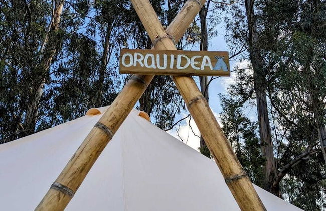 Palumbo Glamping & Villas - Foto 37