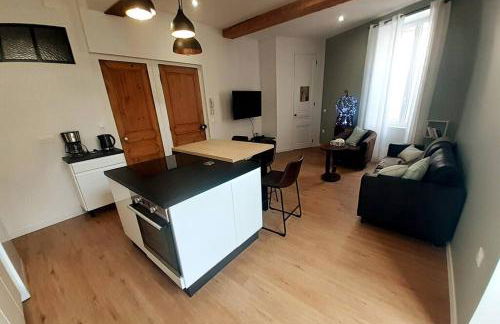 Classé 4 étoiles - Cybèle - Centre ville 2 Chambres, cour privative et Garage - Foto 27