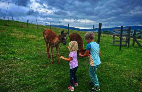 Agroturystyka Zagroda Miłkowskie - Photo 11